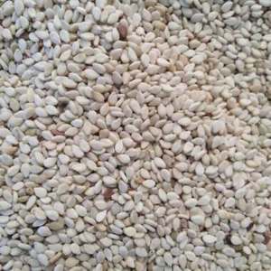 Black Sesame <b>Seeds</b> Natural Organic Dry <b>Storage</b> Food Grade Bulk Raw Whole <b>Seeds</b> for Cooking and Baking - Product Image 2