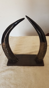 Taza de cuerno vikingo personalizada de alta calidad, jarra de estilo Animal grabada a mano de India, artesanía Natural, cuerno para beber pulido, comprar - Product Image 5