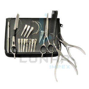 Kit d'outils d'extension de cheveux de qualité industrielle en argent poli, pince d'extension de cheveux et accessoires multiples - Product Image 4