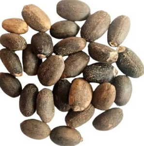 เมล็ด jatropha เมล็ด jatropha ขายส่งราคา - Product Image 6