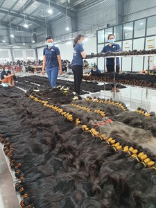 Cabello humano vietnamita 2023 superventas para blanquear en cabello virgen de alta calidad con precio al por mayor - Product Image 6