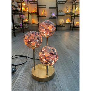 Tendance chaude Creative Seashell Lamp Haute Qualité Seashell Sleeping Led Light Artisanat Du Viet Nam - Product Image 5
