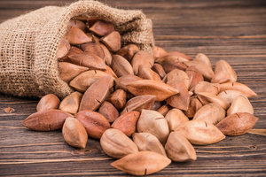 Nueces de Pili Orgánicas Crudas Sin Cáscara de la Mejor Calidad - Grado Premium, Empaque a Granel, Listas para Usar, Mejor Precio en Venta - Product Image 2