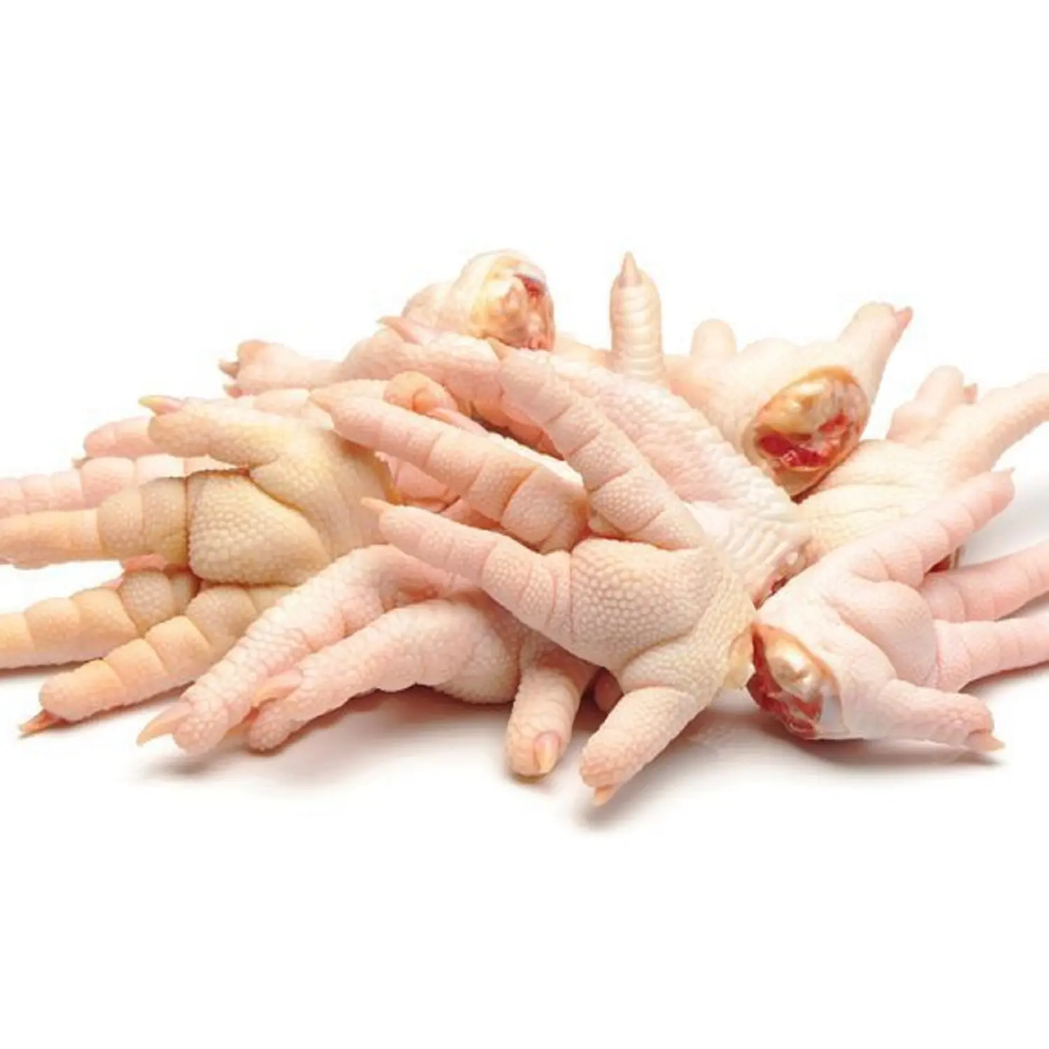 Frozen Chicken Paws/ Chicken for sale