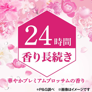 Mới Nhất Nhật Bản Thực hiện Bold Cao Cấp Hoa Thơm Lỏng Giặt Làm Sạch Chất Tẩy Rửa 22.6 Oz (640G) Bán Buôn Rẻ Hơn - Product Image 4