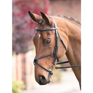 Bridon pour cheval Grackle, bridon en cuir, fabricant de bridons, bridon anatomique de dressage, cuir indien - Product Image 1