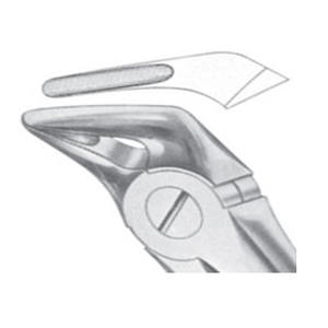 Forceps chirurgicaux manuels en acier inoxydable de haute qualité, incisives supérieures et canines, certifiés CE, garantie à vie - Product Image 3