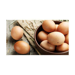 ไข่ไก่สดใหม่ คุณภาพดีที่สุด ผลิตตามสั่ง ขายส่ง ไข่ขาวสดใหม่ - Product Image 2