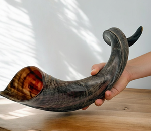 Shofar Auténtico de Alta Calidad Hecho a Mano con Cuerno de Carnero Crudo, Instrumento Judaico para Servicios de Oración, Rituales Tradicionales Judíos - Product Image 4