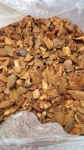 Compre cáscara de cacao residual agrícola de primera calidad para mantillo de jardín y enriquecimiento del suelo con entrega rápida - Product Image 5