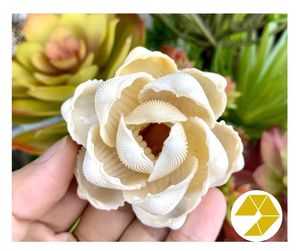 Flor de concha marina Decoración costera Playa hecha a mano Regalo DE BODA Flor de concha marina natural Recuerdo de verano único Belleza del océano atemporal - Product Image 2