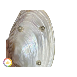 Assiette en nacre 12 cm, assiette en coquillage pour la vaisselle de restaurant, plat en coquille blanche pure pour la présentation de bijoux fins - Product Image 3