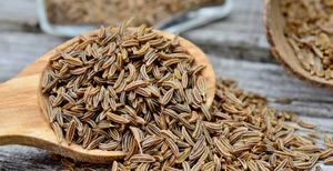 100% pure caraway Essential Oil Wholesale <b>Bulk</b> caraway Essential Oil Natural and Pure caraway essential oil - Product Image 2
