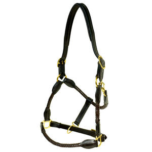 Licol en cuir de haute qualité, tressé, avec des accessoires en laiton massif, réglable, équipement équestre - Product Image 3