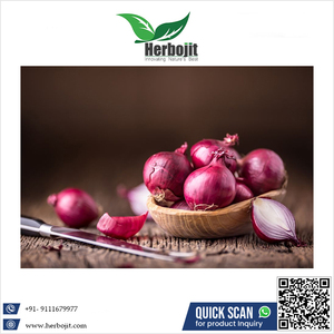 Cebolla roja fresca de alta calidad al por mayor Proveedores a granel Nueva cosecha Venta caliente a precio asequible - Product Image 2