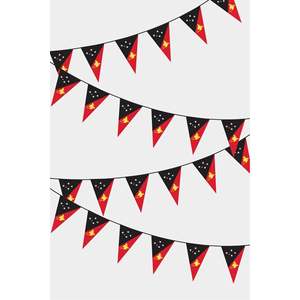 Papua New Guinea Triangular String Flag Guirlande Digital Printed Polyester <b>Banners</b> - Product Image 1