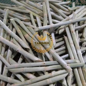 Caña de azúcar congelada de alta calidad de Vietnam, palo de caña de azúcar, materias primas frescas para alimentos, ISO, frutas saludables para cocinar y beber - Product Image 1
