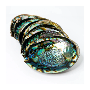 Wholesale Artistic Abalone Shell Pearls for DIY Jewelry, Utensil Styling, and Small Vase <b>Accessories</b> - Product Image 5