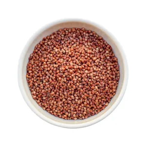 Farine de graines de sorgho rouge et blanc de haute qualité emballage de grains blancs dans des sacs à vendre