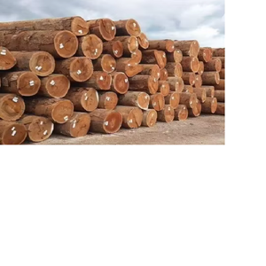 Bûches de bois de pin de haute qualité, bois rond dur, meilleure qualité, diamètre 100 m, longueur 34 cm - Product Image 3