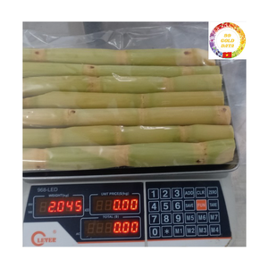 Proveedor vietnamita de palitos de caña de azúcar congelados de primera calidad que ofrecen una dulzura natural de calidad estable y un uso perfecto para jugos - Product Image 4