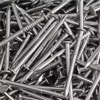Economical Common Nails in Bulk - Perfect for Roofing & Fencing