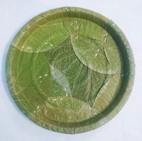 Assiettes jetables écologiques en feuilles biodégradables Sal/Palash pour fêtes, mariages, traiteurs et service de restauration