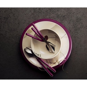 Ensemble de couverts Chic Light Mauve Grip Vaisselle avec finition argentée pour usage domestique et présentation de cadeaux de mariage d'Inde - Product Image 4