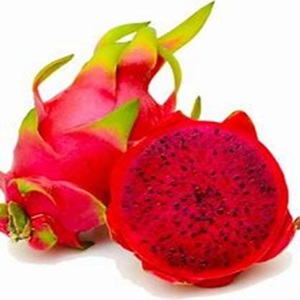 Fruit frais du dragon rouge biologique 100% pour des avantages médicinaux et nutritionnels et des utilisations culinaires à des prix compétitifs - Product Image 5