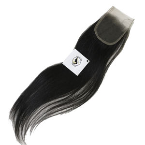 Extensions de cheveux à cuticules alignées, naturel, vietnamien, vierge, vendeur HD, Swiss Lace Frontal Closure avec Baby Hair - Product Image 1