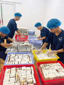 สบู่มะพร้าวธรรมชาติที่สดชื่น: น้ำมันมะพร้าว, สบู่แฮนด์เมดขายดีที่สุดสำหรับขายส่งจำนวนมาก, อ่อน, สดใส - Product Image 5