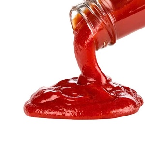 Silk Chains TKC1 Sauce Ketchup de tomates en pâte 200 grammes 20% Brix Doux naturel Divers conditionnements Bouteille Fût Sac Carton Boîte Vrac - Product Image 5