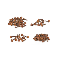 Clous de girofle indonésiens originaux de qualité supérieure 100% récoltés avec des clous de girofle sélectionnés directement du jardin