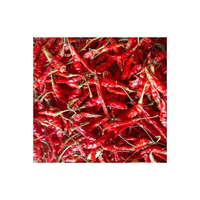Piment séché de l'usine dirigée au Vietnam/Piment rouge séché aux épices simples de haute qualité