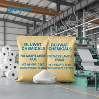 Agent de renforcement à sec en polyacrylamide (PAM) pour l'amélioration de la résistance du papier dans la fabrication du papier