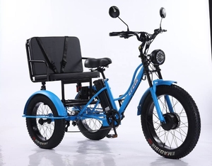 Vélo électrique à 3 roues le plus vendu, siège large avec moteur avant, tricycle électrique avec siège passager - Product Image 4