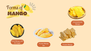 Tranches de mangue séchées, faible teneur en sucre, collation sucrée, fruit naturel, emballage en pot Mason, Vietnam, biologique, qualité supérieure, texture moelleuse, export en vrac - Product Image 4