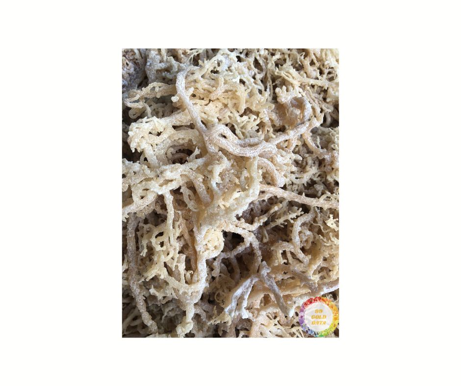 Vietnamese Finest Cottonii Seaweed: Ideal for Culinary and Cosmetic Use, Direct Export Top Suppliers for International Markets