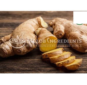 Poudre de gingembre, complément alimentaire naturel à base de plantes pour la santé digestive, soulagement des nausées, anti-inflammatoire, soutien immunitaire, articulations - Product Image 2