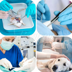 Kits de Examen Dental Básico de Color Personalizado, Kits de Examen Dental de Acero Inoxidable de Alta Calidad en Venta - Product Image 6