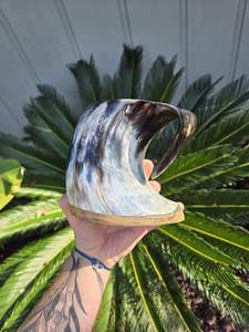 Tasse en corne de buffle de qualité supérieure et polie à la main naturelle avec la meilleure pièce de qualité et tasse d'hôtel en corne de boisson - Product Image 4