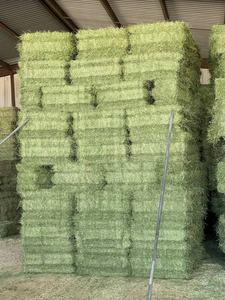 Meilleures ventes de foin de luzerne/foin de luzerne pour l'alimentation des animaux/foin de luzerne - Product Image 5