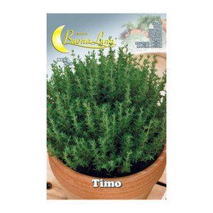 Semi Orto Timo - Product Image 1