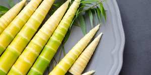 Embouts de pousses de bambou emballage 250gr/sac 500gr sac taille moyenne 15-20pcs/ 250gr export USA, Japon - Product Image 2