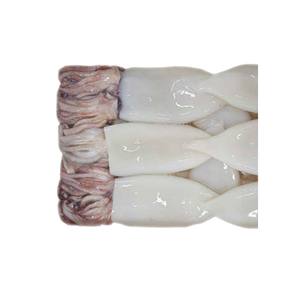 Calamar entero congelado a precio de fábrica, ofrecido para comercio mayorista y pedidos en grandes cantidades - Product Image 4