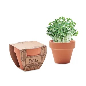 Pot de graines de cresson écologique pour fournitures de jardinage éco-responsables - Product Image 1
