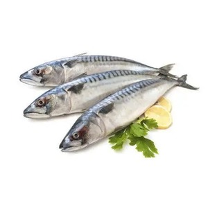 Frozen Horsmakreel Prijs Hele Ronde Hgt Ronde Scad Vis Land Iqf Bevroren Pacific Makreel 20Kg Doos