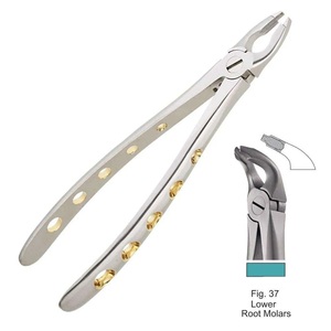 คีมถอนฟันสแตนเลสแบบใช้ซ้ำได้เครื่องมือผ่าตัดทางทันตกรรมแบบแมนนวลมีลวดลายภาษาอังกฤษสำหรับฟันกรามล่าง - Product Image 4