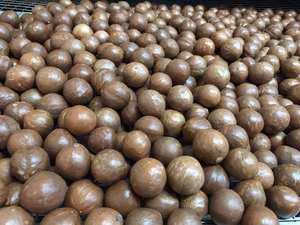 Produit populaire Noix de macadamia concassées séchées croustillantes délicieuses des fournisseurs du Vietnam/Noix de macadamia en vrac avec une offre compétitive - Product Image 5