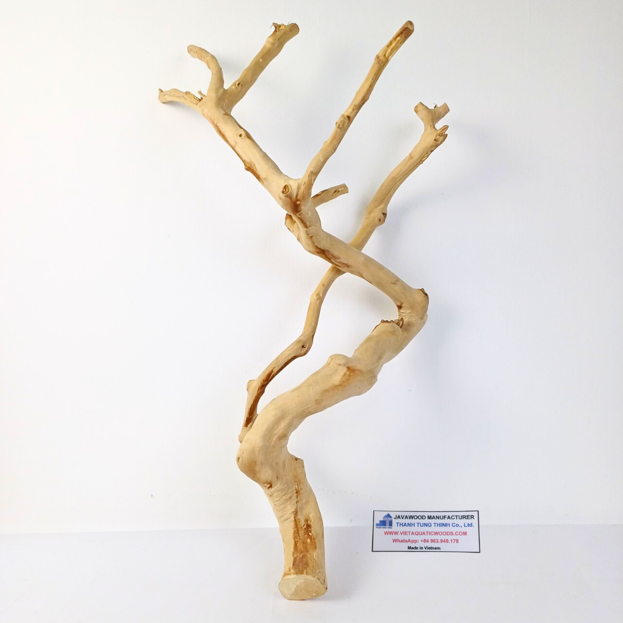 ธรรมชาติ